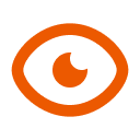 Vision Icon