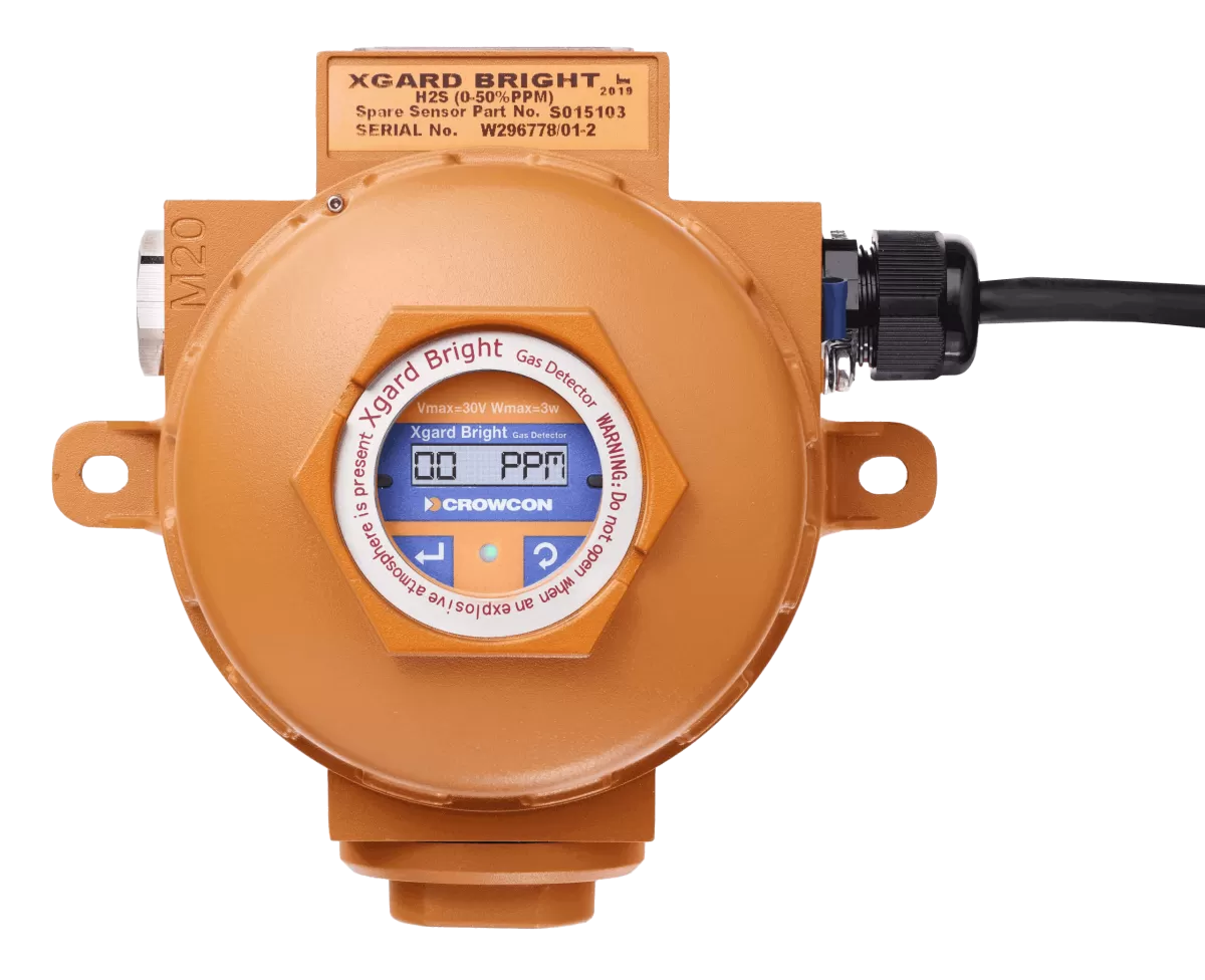 Fixed Gas Detection